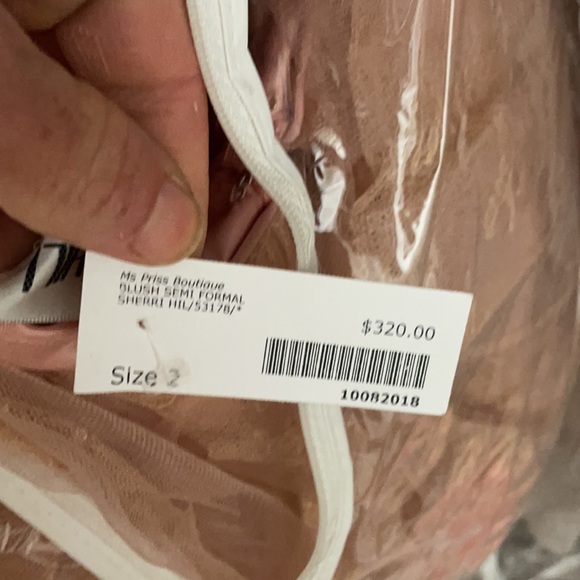 Sherri hill dress in the color blush - Picture 3 of 3